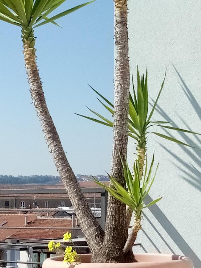 Hotel Chiaraluna Civitanova Marche Exterior photo